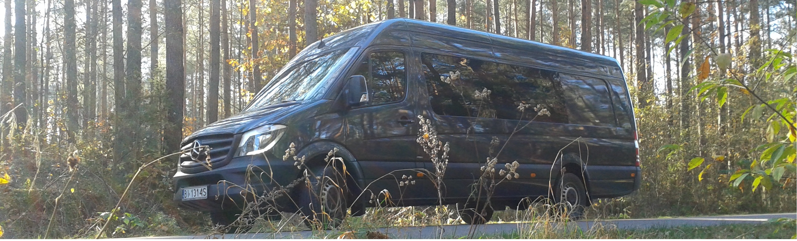 Mercedes Sprinter Silver